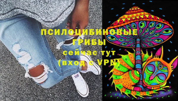 крисы Армянск