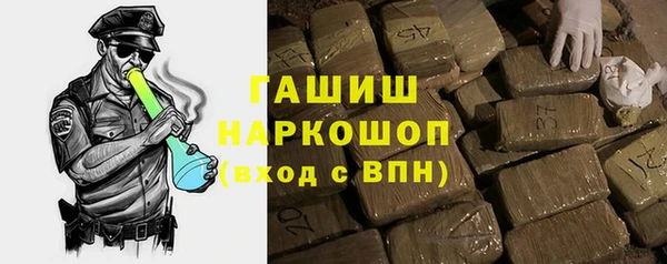 стаф Инта
