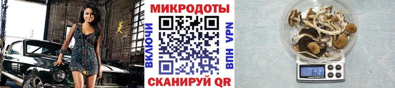 MEGA рабочий сайт  Мурманск  Псилоцибиновые грибы Psilocybe 